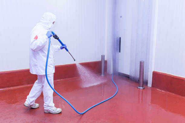 Spring Cleaning in Bokeelia, FL