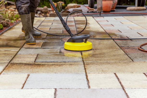 Best Animal Enclosure Cleaning  in Bokeelia, FL